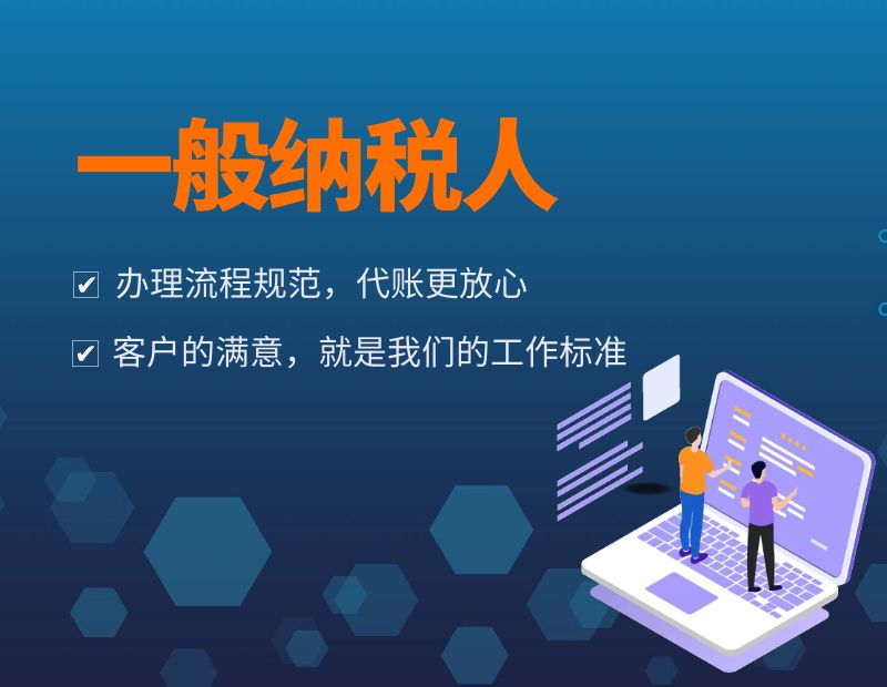 一般纳税人